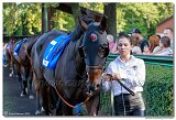 8. dostihy - Slovensk St. Leger DRAG CONSULTING s.r.o. 