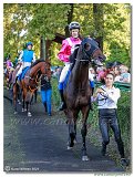 8. dostihy - Slovensk St. Leger DRAG CONSULTING s.r.o. 