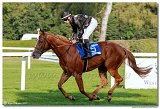 8. dostihy - Slovensk St. Leger DRAG CONSULTING s.r.o. 