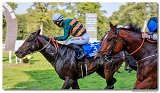 8. dostihy - Slovensk St. Leger DRAG CONSULTING s.r.o. 