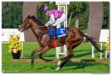 8. dostihy - Slovensk St. Leger DRAG CONSULTING s.r.o. 
