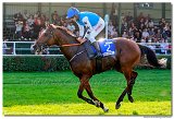 8. dostihy - Slovensk St. Leger DRAG CONSULTING s.r.o. 