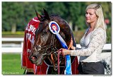8. dostihy - Slovensk St. Leger DRAG CONSULTING s.r.o. 