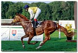 10. dostihy - Cena Czeneky 