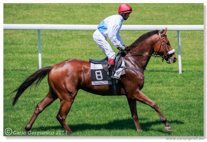 Bratislava - 08. júna 2014 