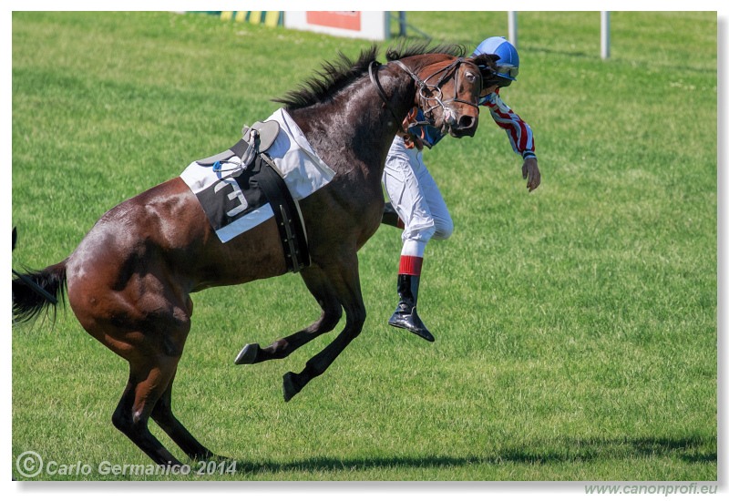 Bratislava - 08. júna 2014 