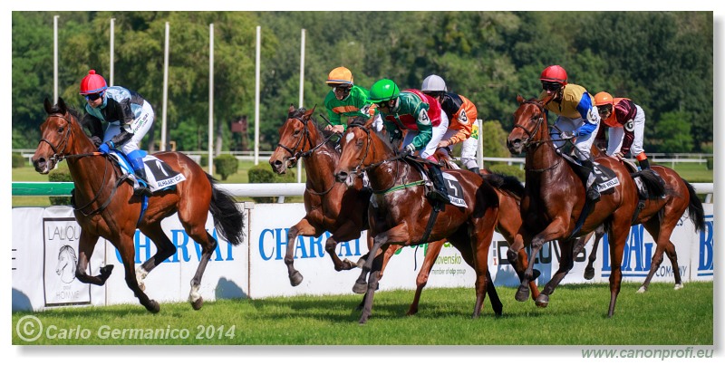 Bratislava - 08. júna 2014 