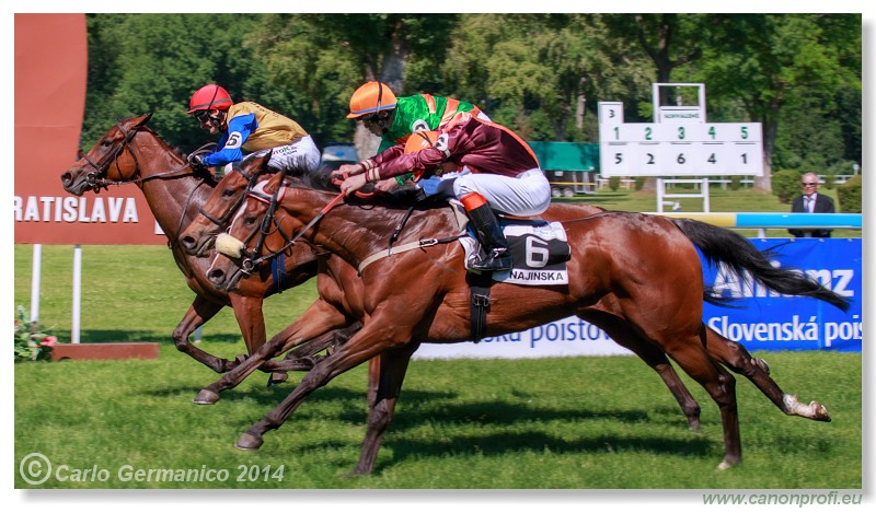 Bratislava - 08. júna 2014 