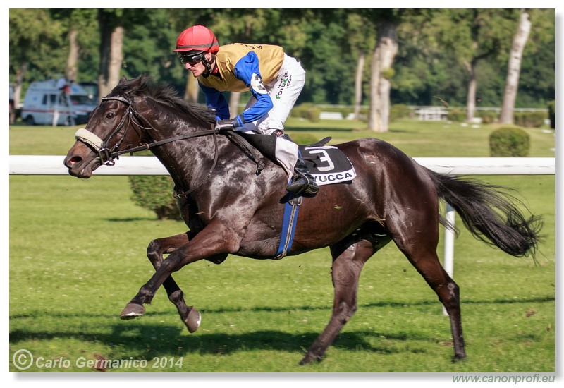 Bratislava - 08. júna 2014 