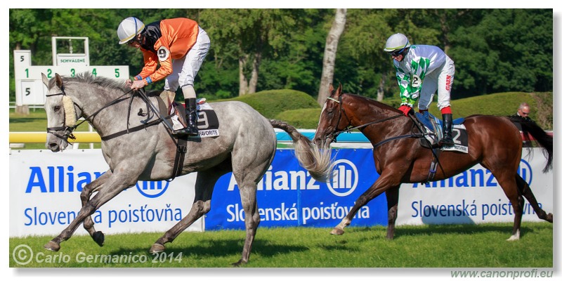Bratislava - 08. júna 2014 