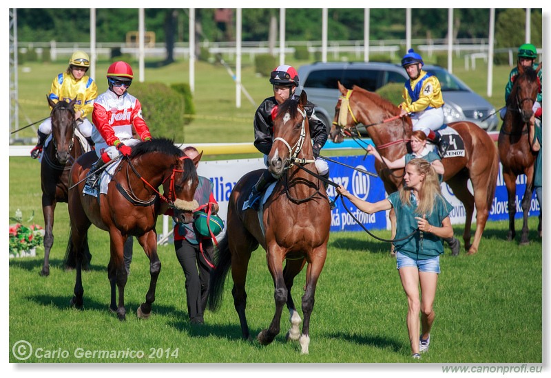 Bratislava - 08. júna 2014 