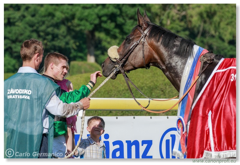 Bratislava - 08. júna 2014 