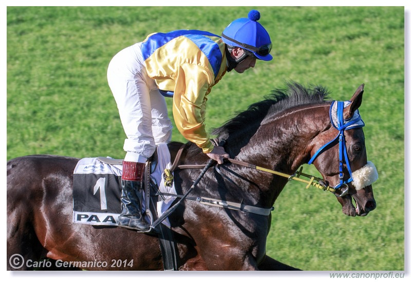 Bratislava - 08. júna 2014 