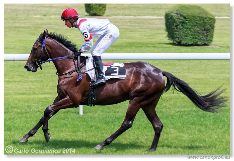 Bratislava - 28. júna 2014 