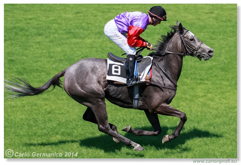 Bratislava - 20. júla 2014 