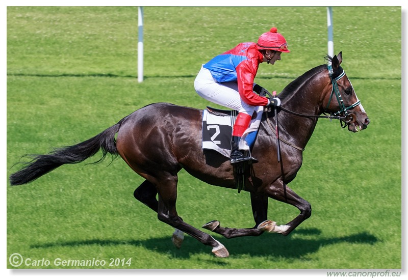 Bratislava - 20. júla 2014 