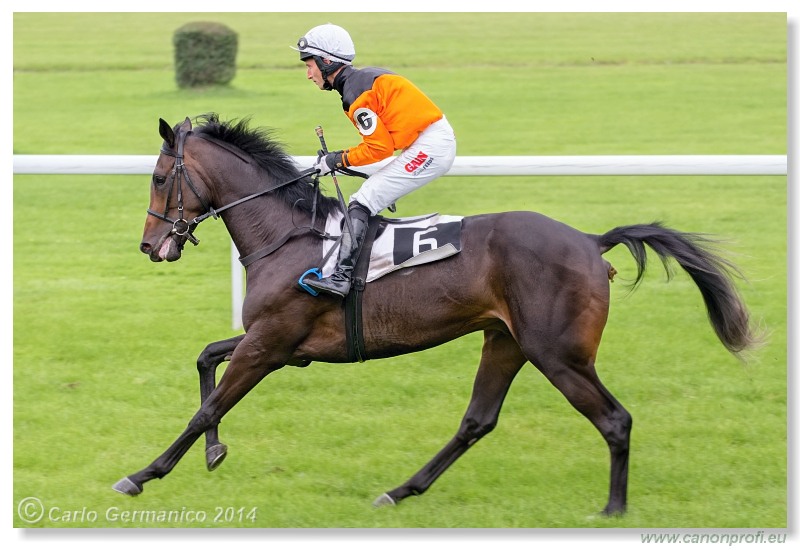 Bratislava - 31. augusta 2014 