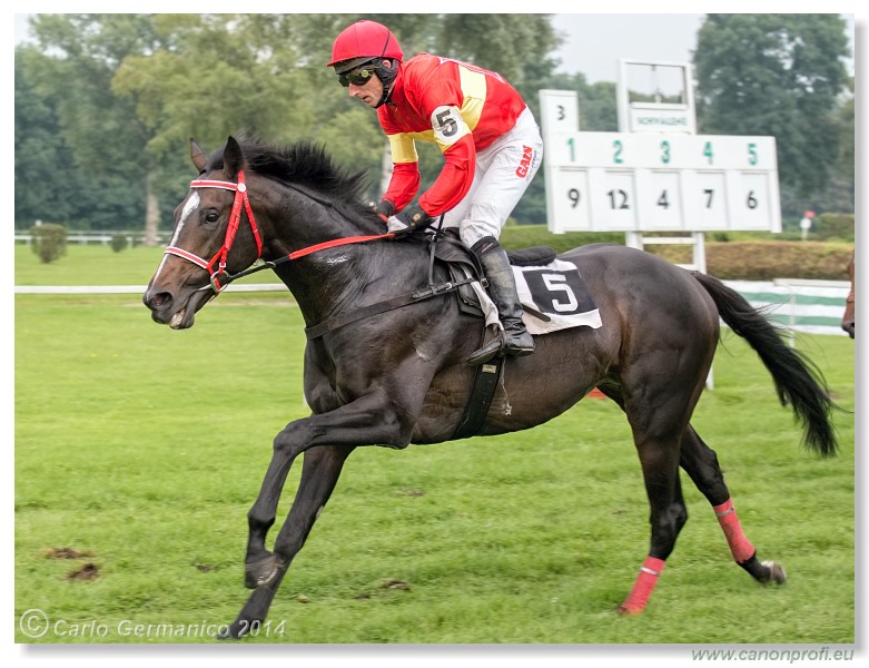 Bratislava - 31. augusta 2014 