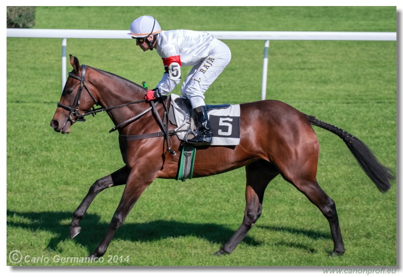 Bratislava - 28. septembra 2014 