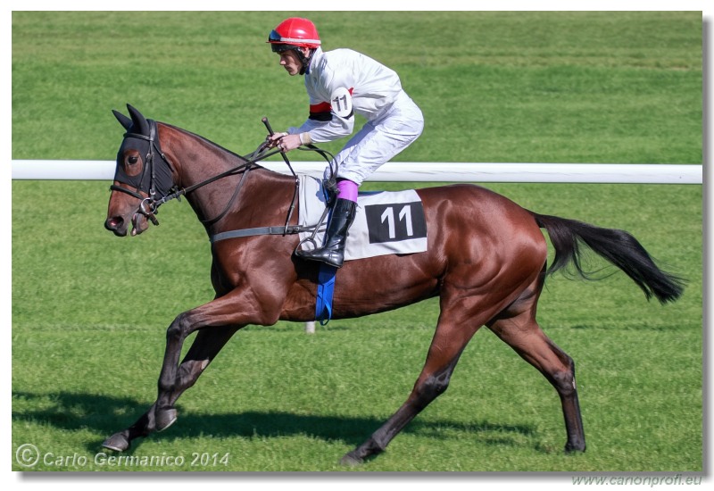 Bratislava - 28. septembra 2014 