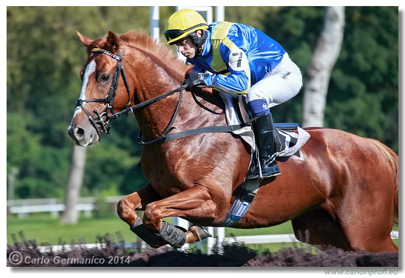 Bratislava - 28. septembra 2014 