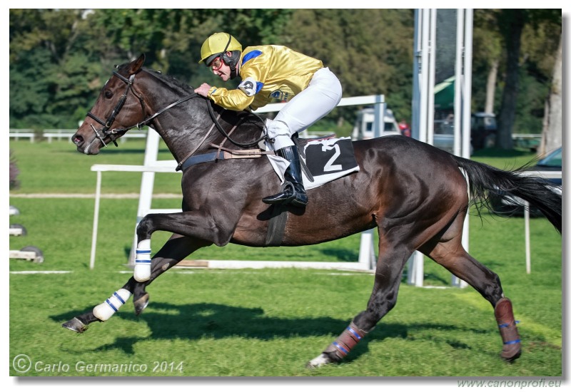 Bratislava - 28. septembra 2014 