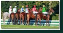 Veľká starohájska steeplechase