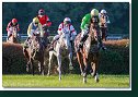 Veľká starohájska steeplechase