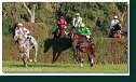 Veľká starohájska steeplechase