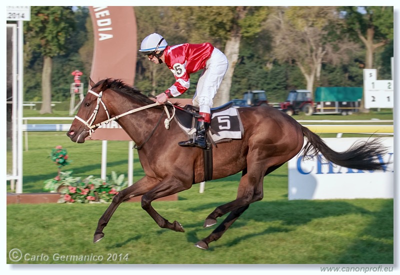 Bratislava - 05. oktobra 2014 