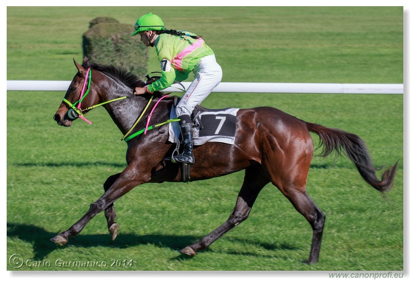 Bratislava - 19. oktobra 2014 