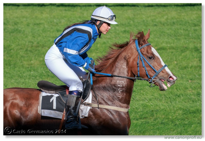 Bratislava - 19. oktobra 2014 