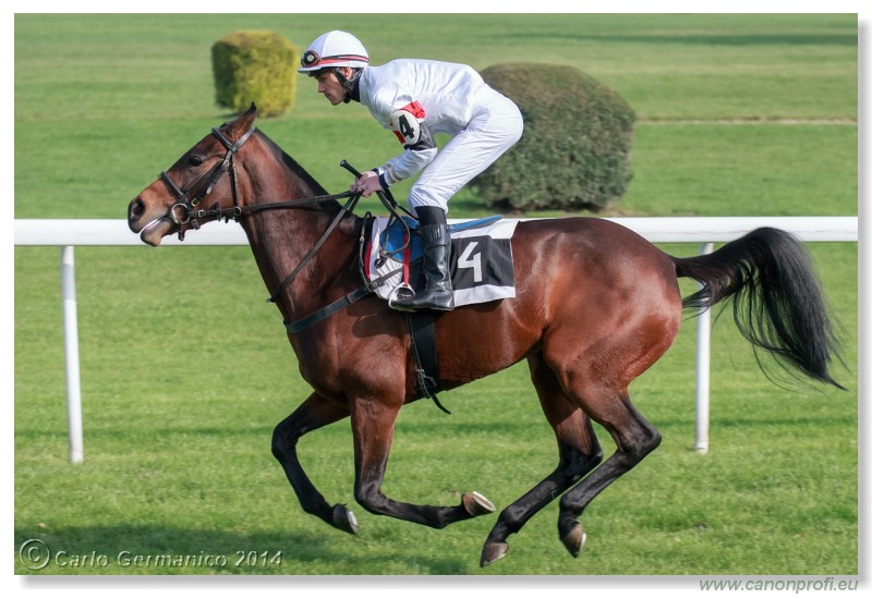 Bratislava - 26. oktobra 2014 