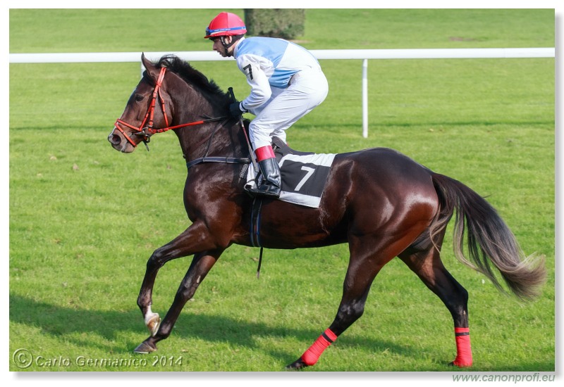 Bratislava - 26. oktobra 2014 