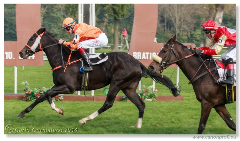 Bratislava - 26. oktobra 2014 