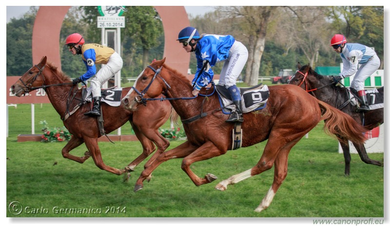 Bratislava - 26. oktobra 2014 
