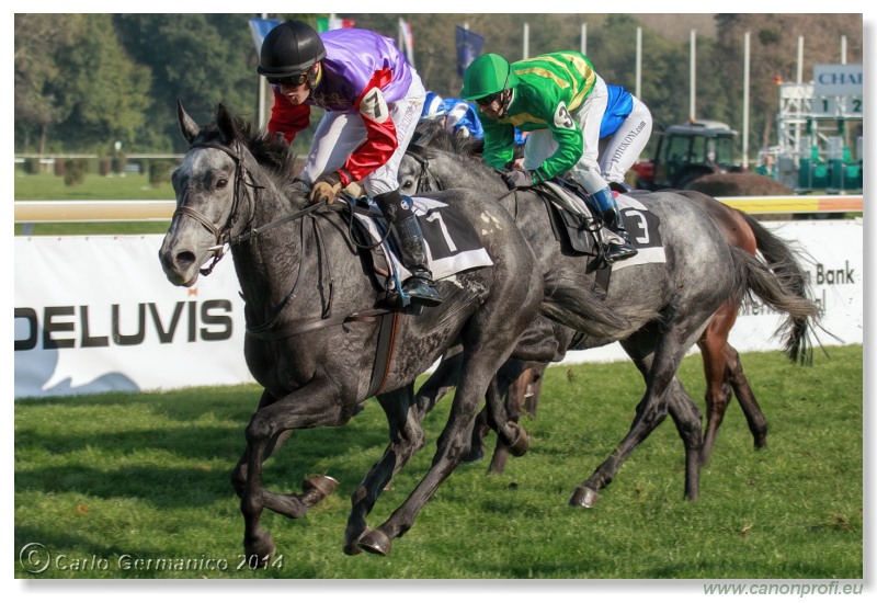 Bratislava - 26. oktobra 2014 