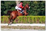 dostih . 8 - 45. Vek starohjska steeplechase spolonosti K-K Metal 