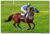 dostih . 9 - 28. Slovensk Oaks spolonosti MPL 