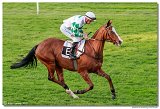 dostih . 9 - 28. Slovensk Oaks spolonosti MPL 
