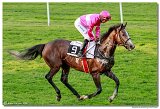 dostih . 9 - 28. Slovensk Oaks spolonosti MPL 