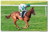 dostih . 9 - 28. Slovensk Oaks spolonosti MPL 