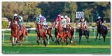 dostih . 9 - 28. Slovensk Oaks spolonosti MPL 
