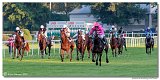 dostih . 9 - 28. Slovensk Oaks spolonosti MPL 