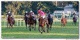 dostih . 9 - 28. Slovensk Oaks spolonosti MPL 