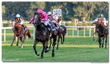 dostih . 9 - 28. Slovensk Oaks spolonosti MPL 