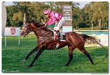 dostih . 9 - 28. Slovensk Oaks spolonosti MPL 