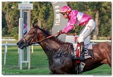 dostih . 9 - 28. Slovensk Oaks spolonosti MPL 