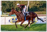 dostih . 9 - 28. Slovensk Oaks spolonosti MPL 