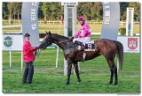dostih . 9 - 28. Slovensk Oaks spolonosti MPL 